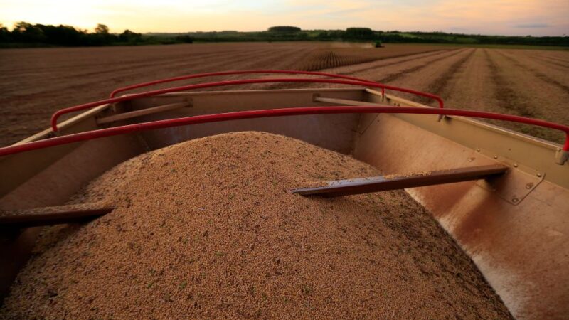Commodities ficam sob pressão em meio à queda de ações por preocupações com economia dos EUA