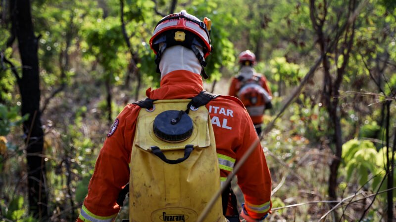 Corpo de Bombeiros extingue incêndio florestal em Cáceres neste sábado (27)