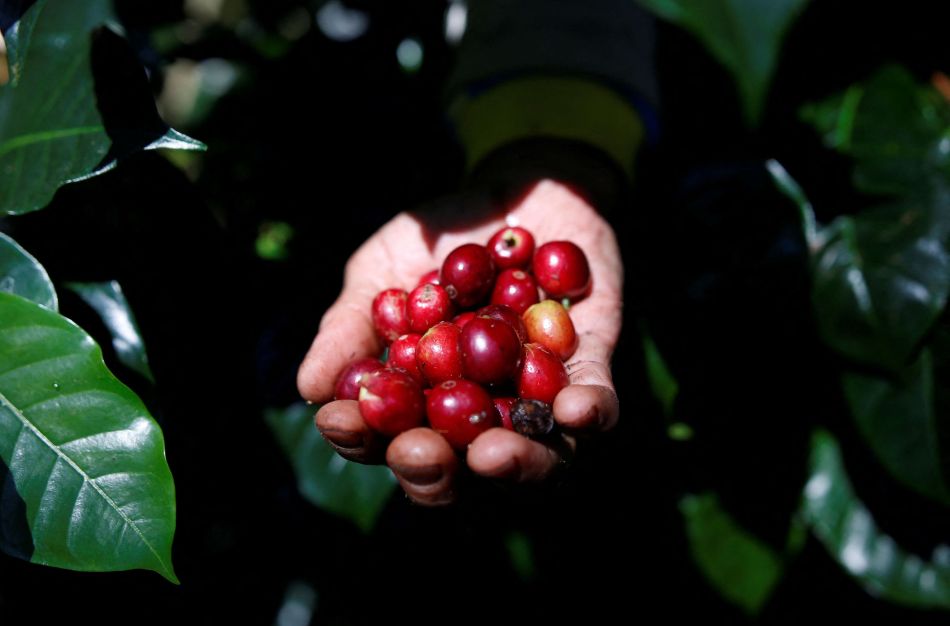 Disparada do preço vai tornar o café um produto de luxo? – Jornal Advogado – Em Mato Grosso