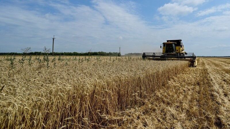Em meio à onda de calor, safra de milho na Ucrânia pode ter queda de 6 milhões de toneladas
