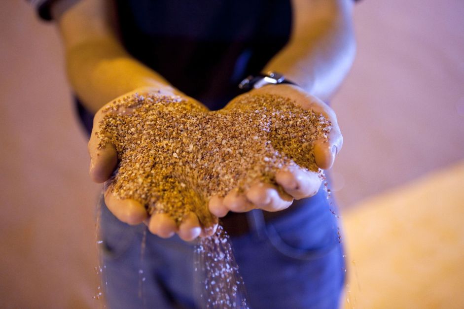 Empresa de fertilizante brasileira entra com pedido de IPO na Bolsa de Nova York