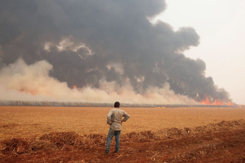 Produtores de cana estimam prejuízo de R$ 350 milhões por incêndios em SP
