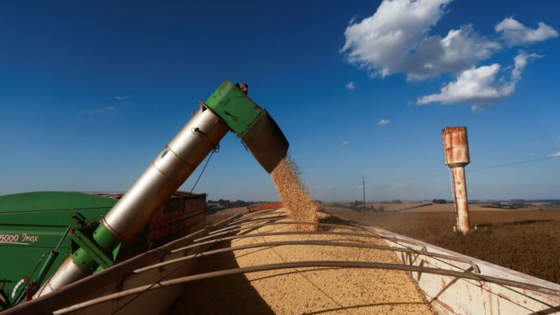Puxado por agro, Índice de Commodities do BC sobe 1,25% em julho