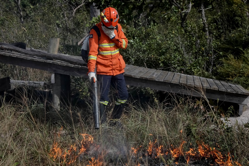 Vinte e oito bombeiros combatem incêndio na Estrada de Chapada; PM controla trânsito na região – Jornal Advogado – Em Mato Grosso