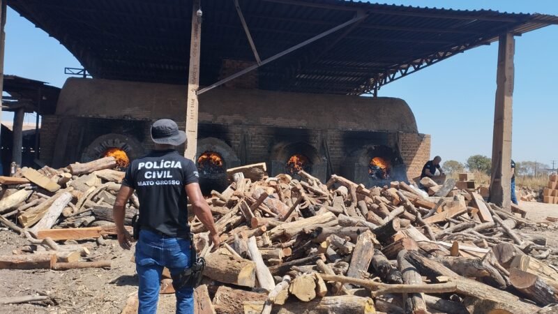 Polícia Civil incinera cerca de 100 quilos de entorpecentes em Porto Alegre do Norte