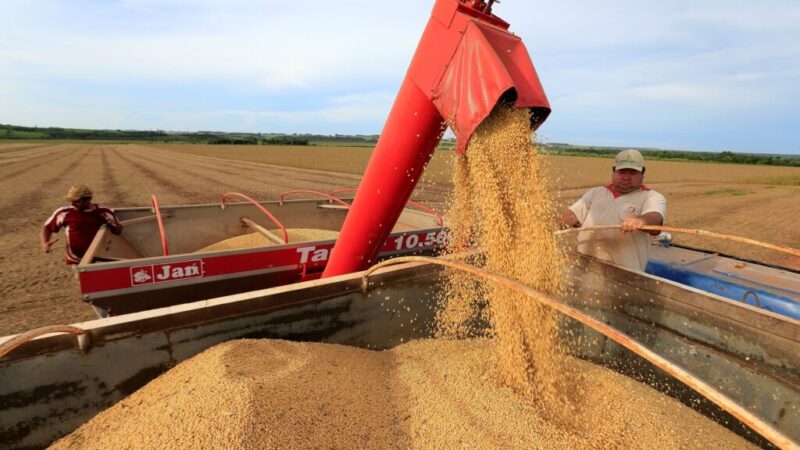Mesmo com atraso por seca, nova safra de soja do Brasil deve crescer 14%, segundo pesquisa – Jornal Advogado – Em Mato Grosso