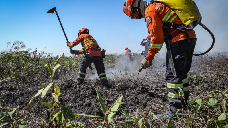 Corpo de Bombeiros combate 43 incêndios florestais em MT neste sábado (07)