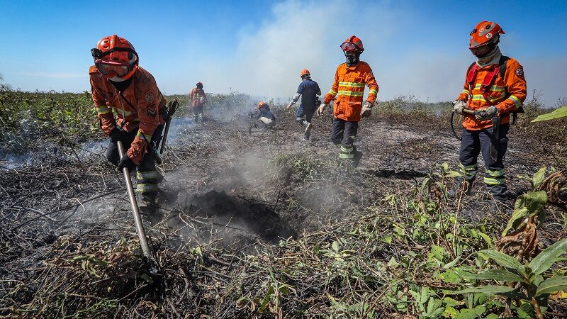 STF suspende processos e decisões sobre combate a queimadas na Amazônia e no Pantanal