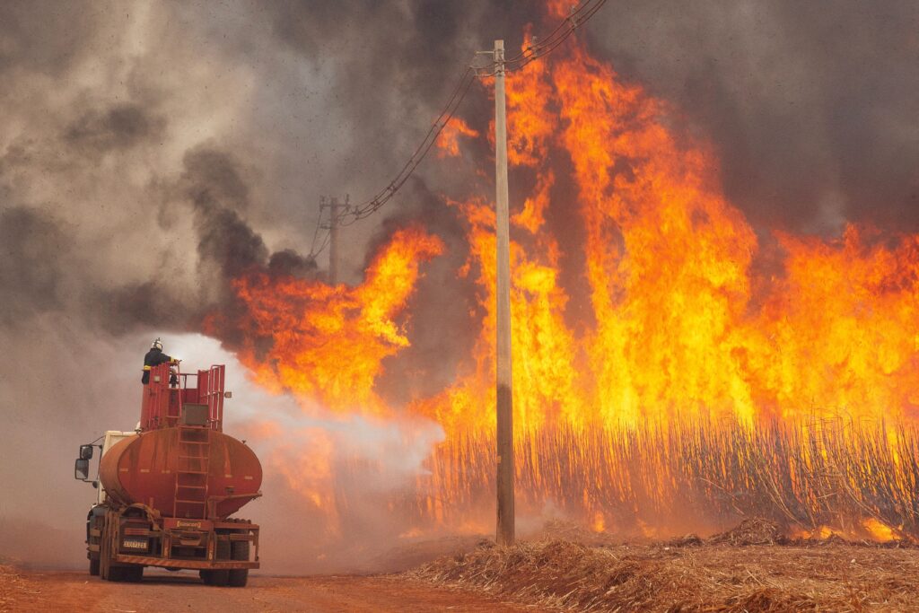 Mato Grosso e São Paulo lideram prejuízos no agronegócio por queimadas no agosto e setembro Amarelo – Jornal Advogado – Em Mato Grosso
