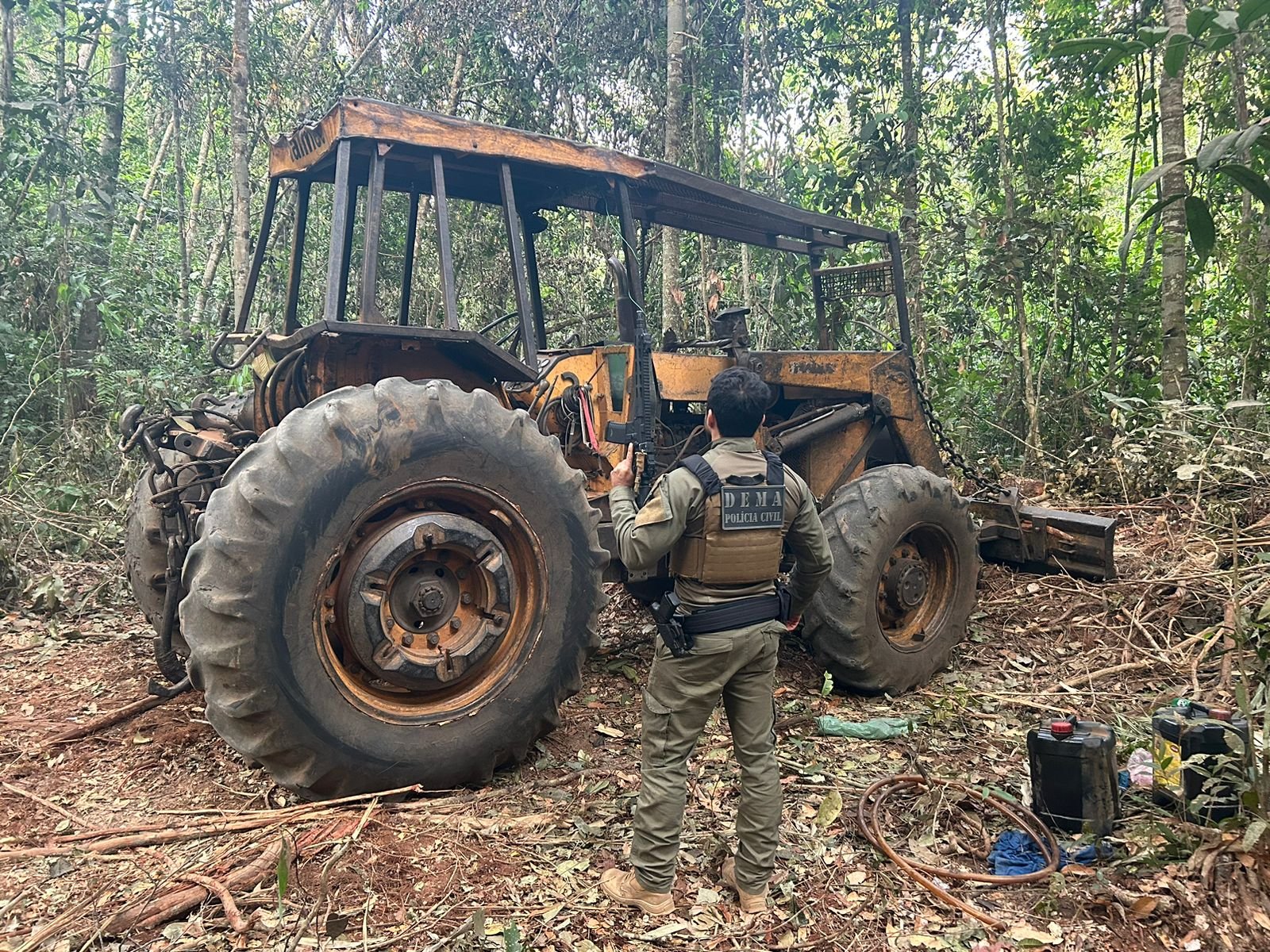 Operação Escudo Verde combate extração ilegal de madeira no norte de Mato Grosso