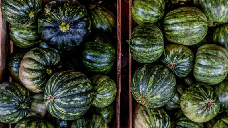 Seaf seleciona propostas de produtores rurais que queiram participar do Programa de Aquisição de Alimentos