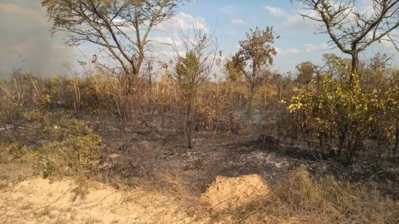 Em mutirão, fazendeiro faz acordo e se compromete a pagar R$ 413 mil