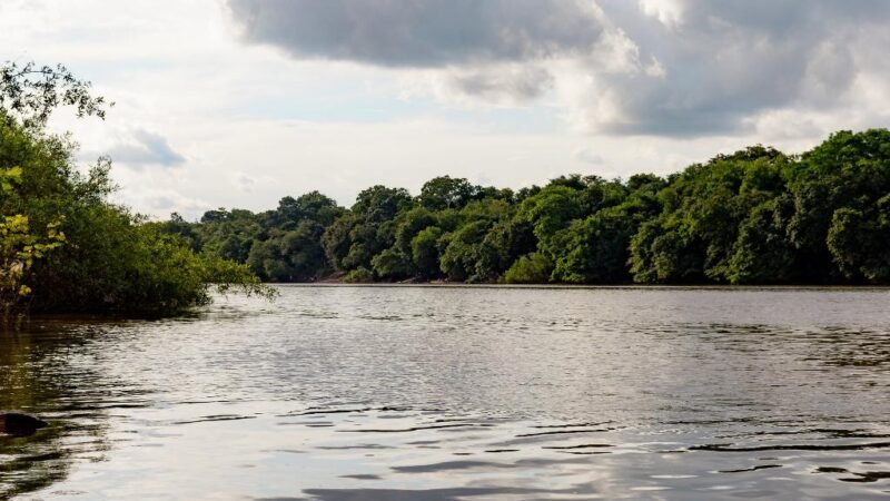 Conselho Estadual de Recursos Hídricos realiza eleição de representantes de ONGs e Usuários de Água
