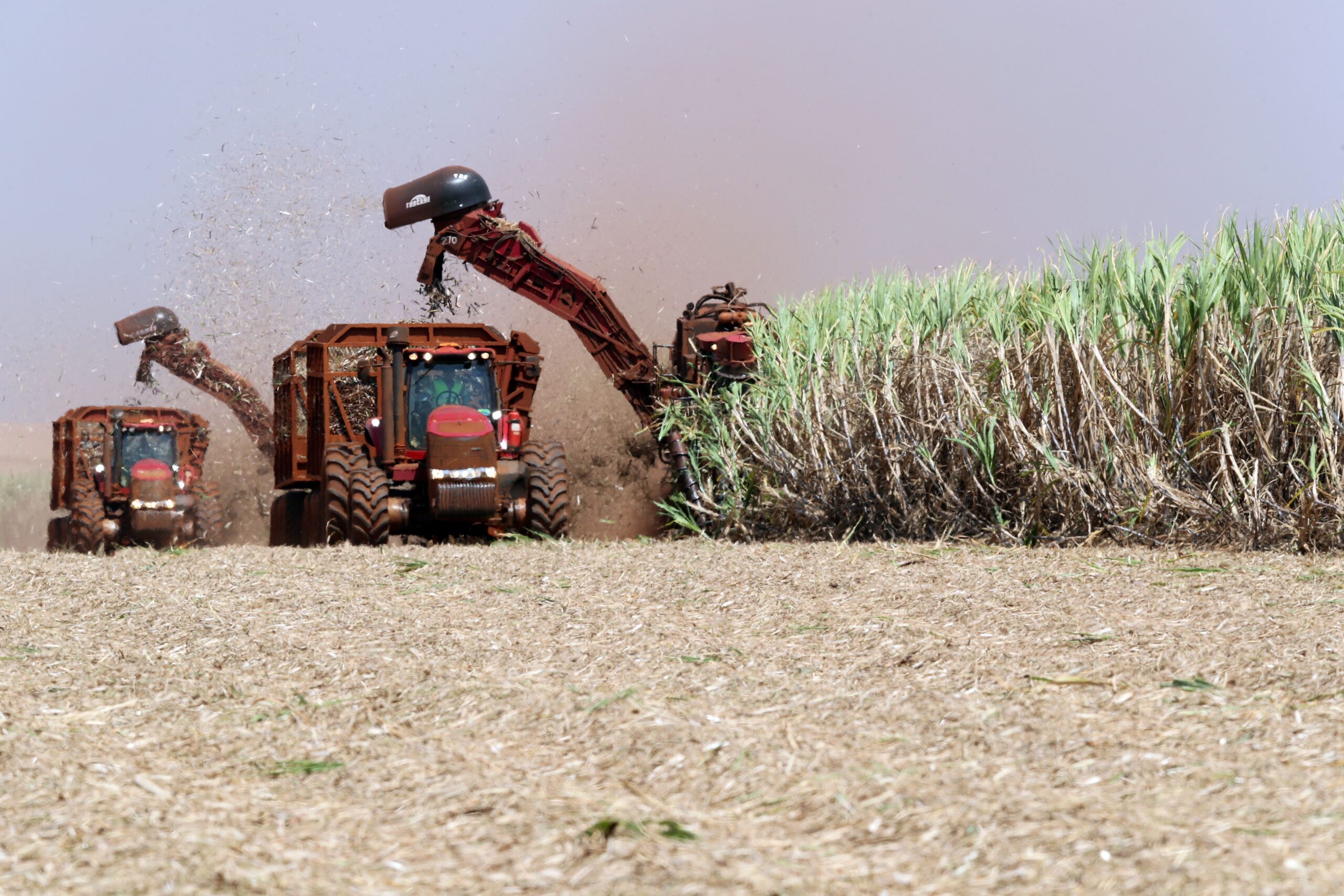 Produção de etanol do Brasil cresce com impulso do milho após queda na safra de cana