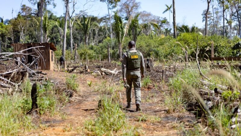 Sema deflagra 298 operações e aplica R$ 1,6 bilhão contra crimes ambientais em 2024