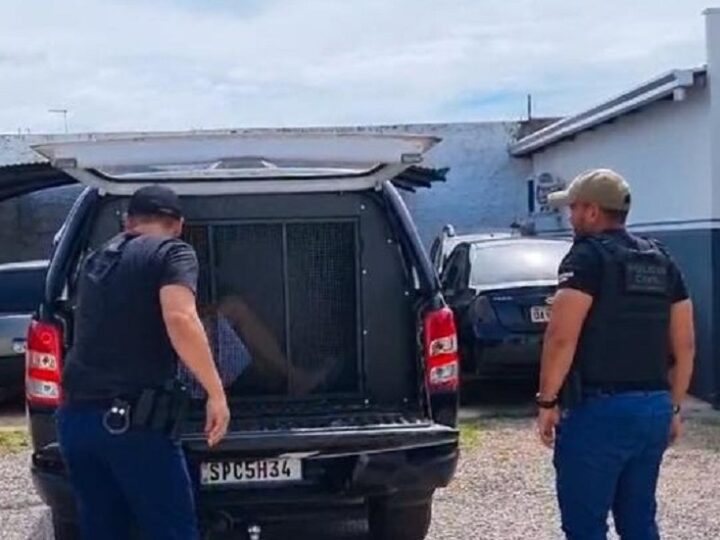 Preso pela PJC autor de tentativa de execução em empresa de Nova Mutum