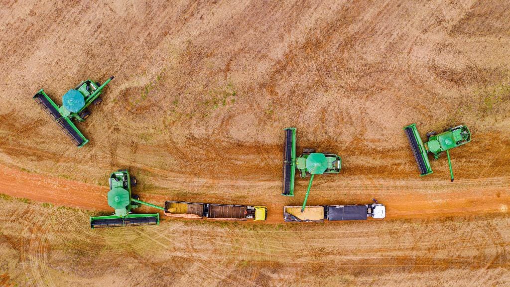 Puxado pela produção agrícola, Mato Grosso terá forte aceleração econômica em 2025 – Jornal Advogado – Em Mato Grosso