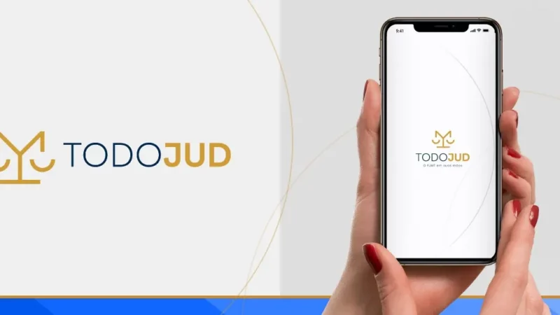 TodoJud: Descubra o Resumo Inteligente e tenha mais clareza ao consultar processos