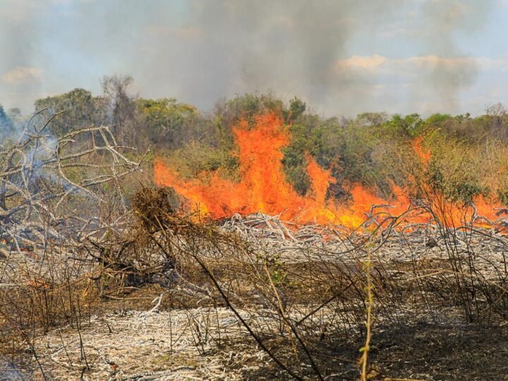 Polícia Militar prende homem por provocar incêndio em zona rural de Vila Rica