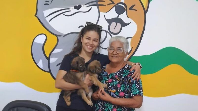 Campanha 20Ver conquista novos lares para cerca de 30 cães