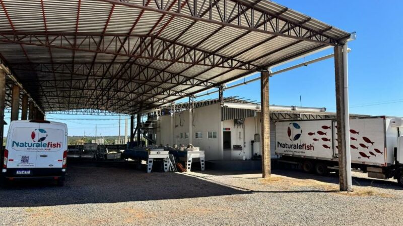 Desenvolve MT impulsiona inovação para melhorar qualidade do pescado em frigorífico