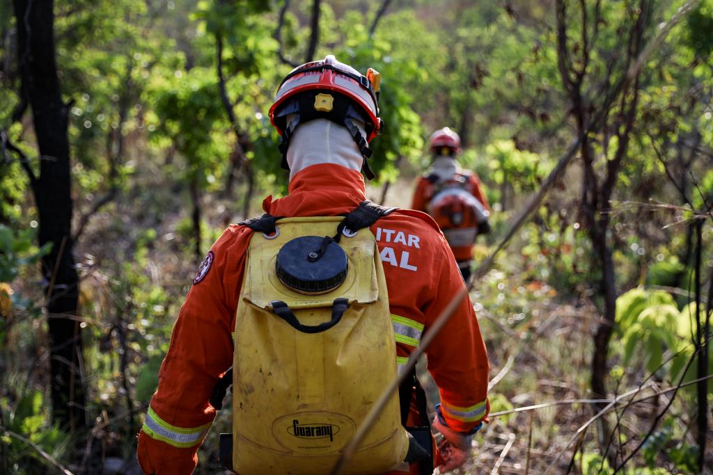 Corpo de Bombeiros combate 35 incêndios florestais nesta segunda-feira (8)