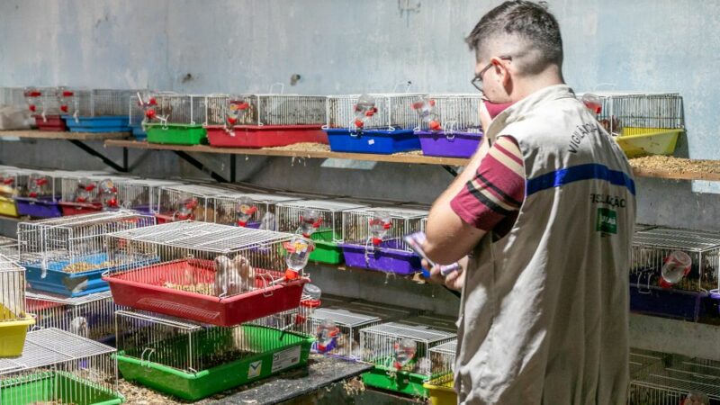 Prefeitura e forças de segurança interditam canil clandestino em Cuiabá