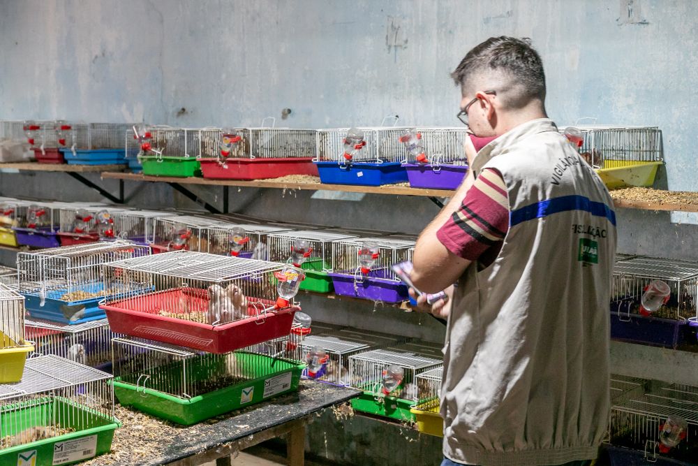 Prefeitura e forças de segurança interditam canil clandestino em Cuiabá