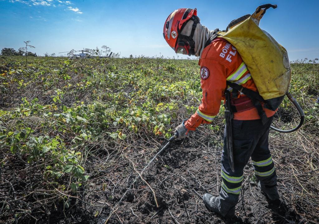 Corpo de Bombeiros combate 38 incêndios florestais neste domingo em várias regiões