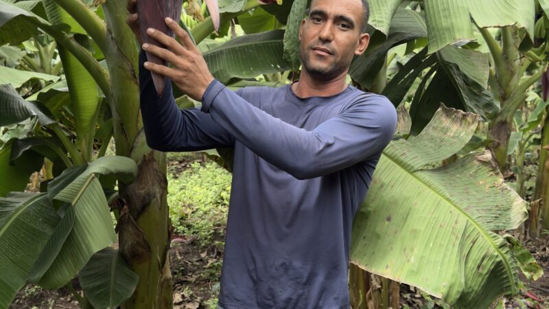 Pequenos agricultores podem receber até R$ 28 mil por ações que preservem floresta amazônica