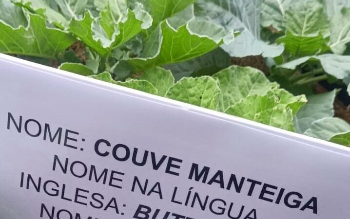 Projeto de escola estadual em Cáceres torna aprendizado em inglês mais atrativo e aumenta engajamento dos alunos