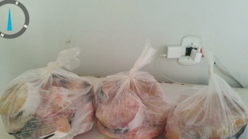 Sema e PM apreendem 6,8kg de cachara descaracterizada em Gaúcha do Norte