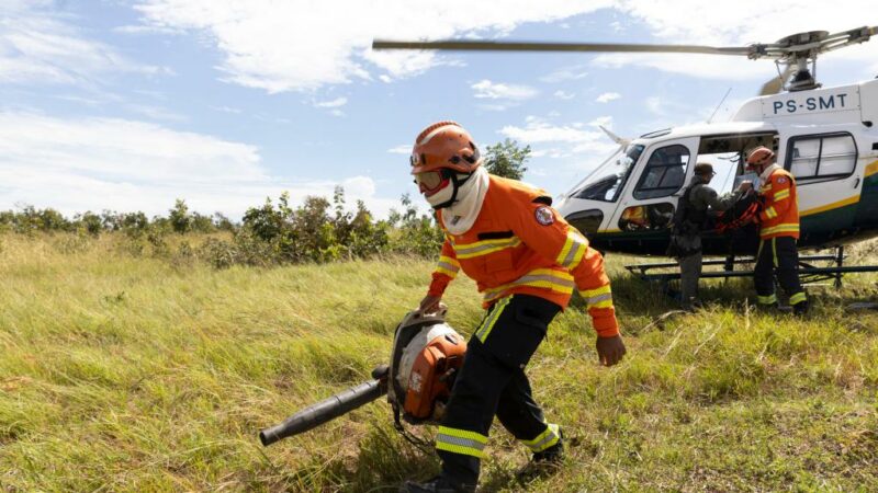 Corpo de Bombeiros combate 12 incêndios florestais neste sábado (20)