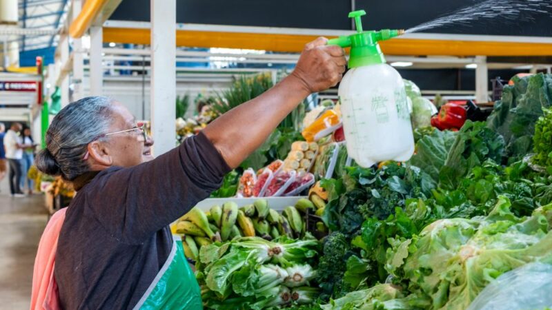 Prefeitura entrega 142 Termos de Permissão para o Mercado do Porto nesta quarta