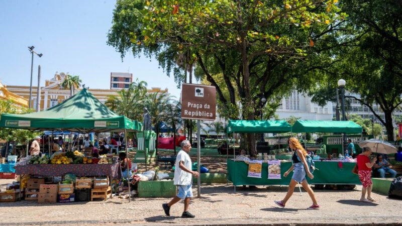Feira da Agricultura Familiar movimenta a Praça da República nesta segunda