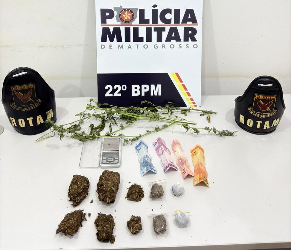 Rotam prende faccionado com porções de maconha e mudas de cannabis