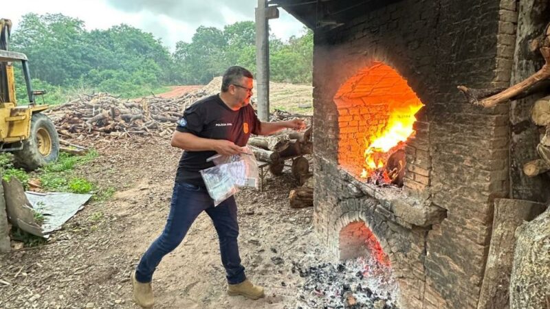 Polícia Civil incinera drogas em Barra do Garças