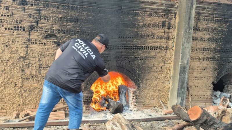 Polícia Civil incinera entorpecentes apreendidos em Alto Boa Vista