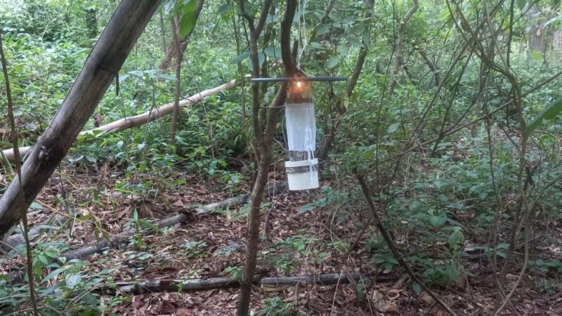 SES realiza treinamento inédito para combater arboviroses