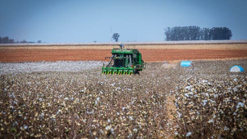Governo de MT prorroga diferimento do ICMS para fertilizantes e mantém benefício até dezembro de 2026