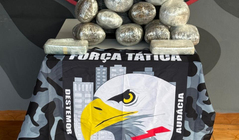 Força Tática apreende oito quilos de entorpecentes com passageiro em ônibus interestadual em General Carneiro