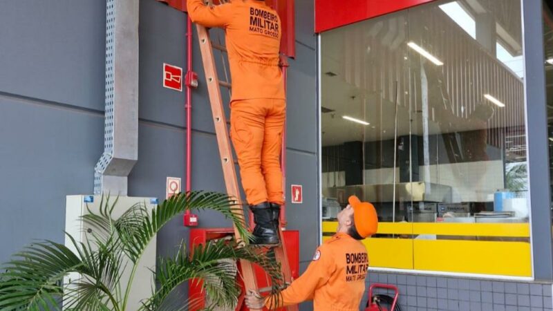 Bombeiros resgatam jupará que estava em estrutura de supermercado em Confresa