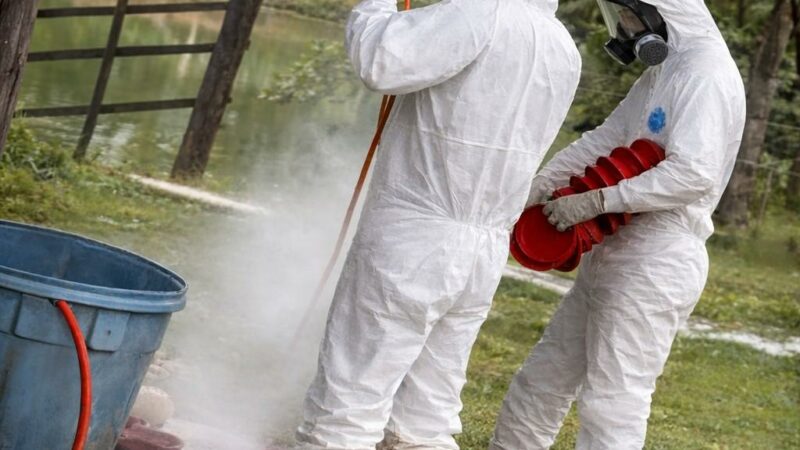 Equipes do Indea percorrerão mais de 300 propriedades na região de Acorizal