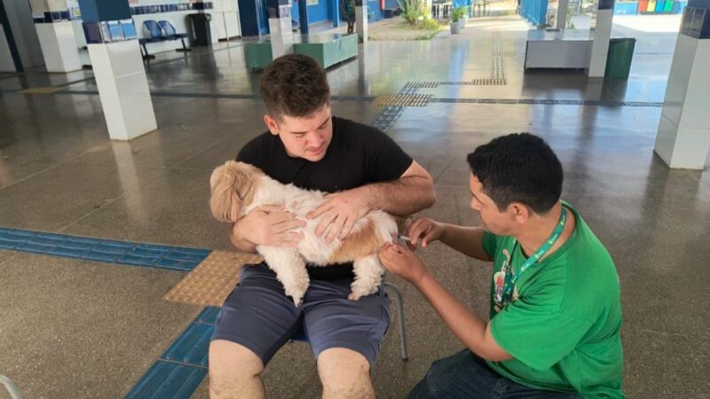 Prefeitura de Cuiabá fortaleceu ações de monitoramento de zoonoses e proteção à saúde pública