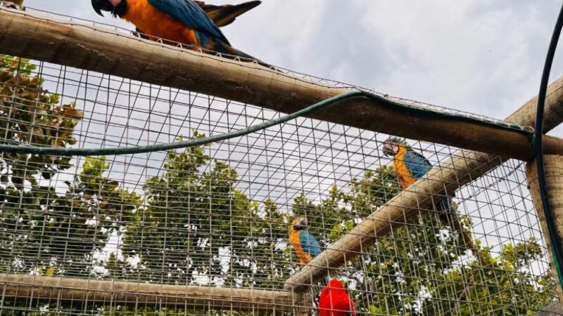 Guarda de animais silvestres permanece aberta durante todo o ano, entenda