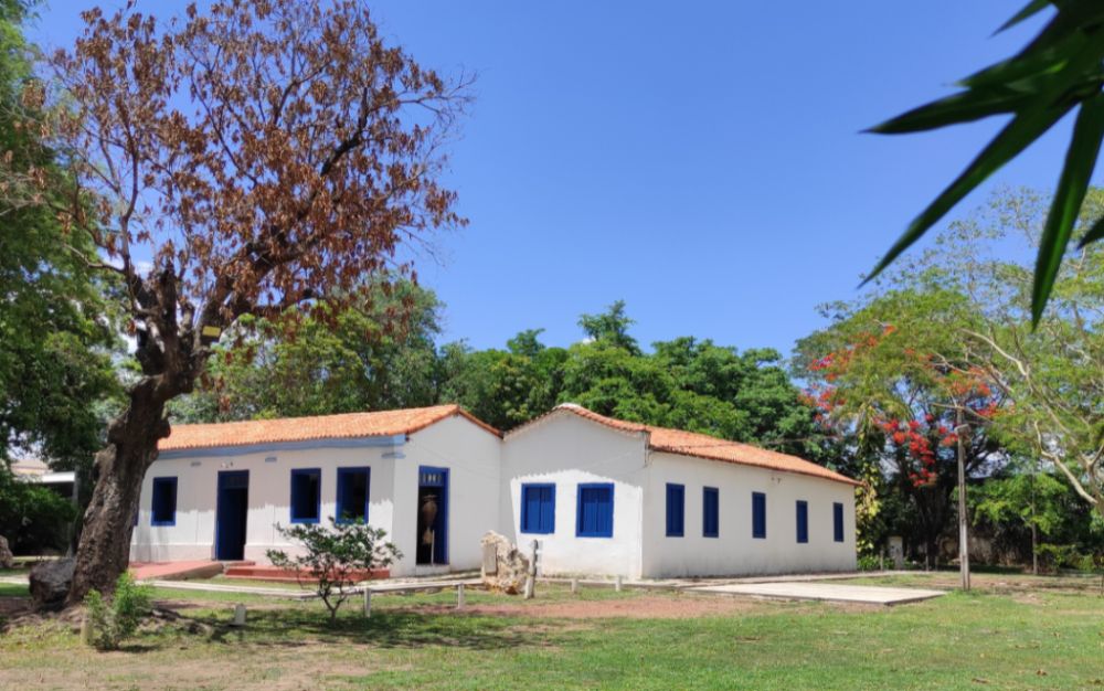 Exposição de ecoarte em cerâmica será lançada nesta quinta-feira (2) no Museu de História Natural de Mato Grosso