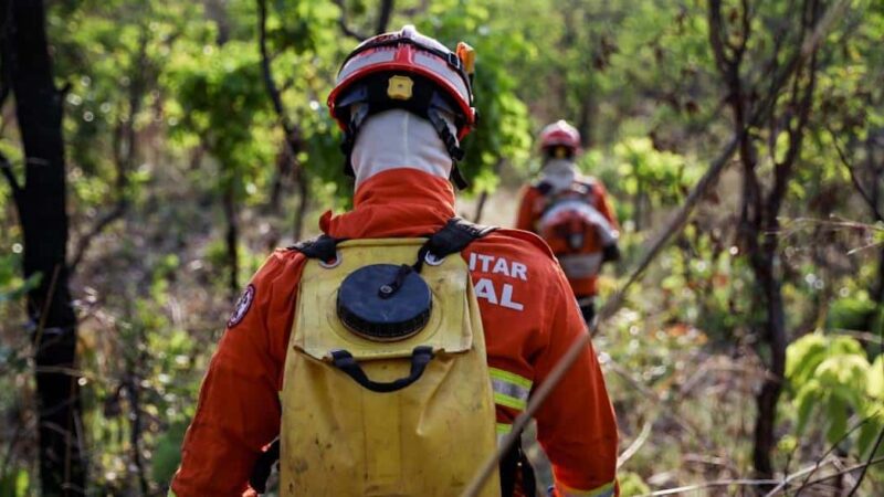 Bombeiros combatem incêndios florestais em cinco cidades de MT