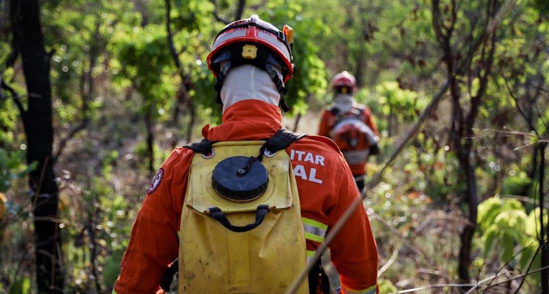 Bombeiros combatem incêndios florestais em cinco cidades de MT